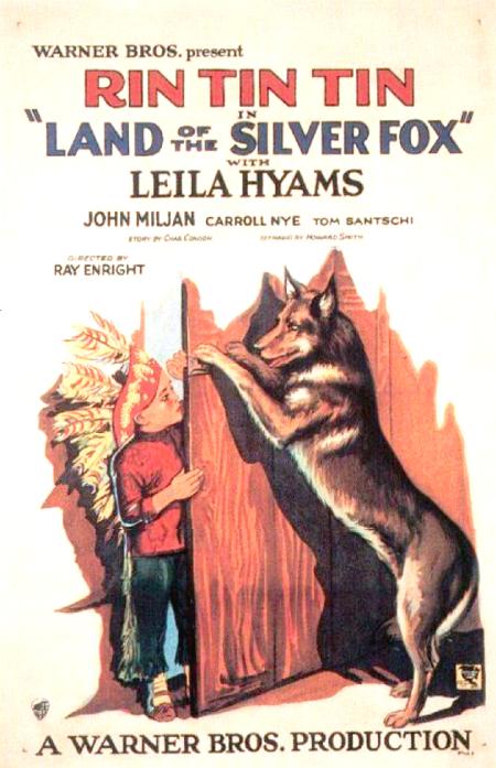 Land of the Silver Fox